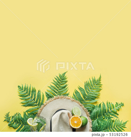 Female beach straw sunhat, citrics on yellow. Female beach straw sunhat, citrics on yellow. 53192526