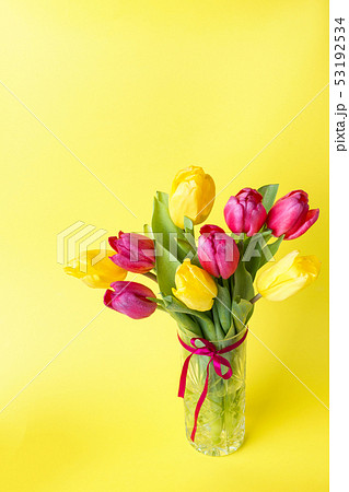 Bouquet of yellow and pink tulips on a yellow back Bouquet of yellow and pink tulips on a yellow back 53192534