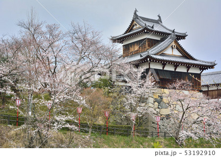 大和郡山城　追手向櫓　桜　 53192910