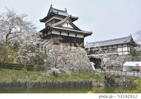 大和郡山城 追手向櫓 梅林門 桜 大和郡山城 追手向櫓 梅林門 桜 53192912