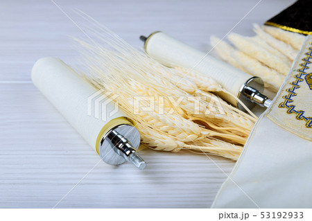 Fresh dairy products milk, cottage cheese wheat, Fresh dairy products milk, cottage cheese wheat, 53192933