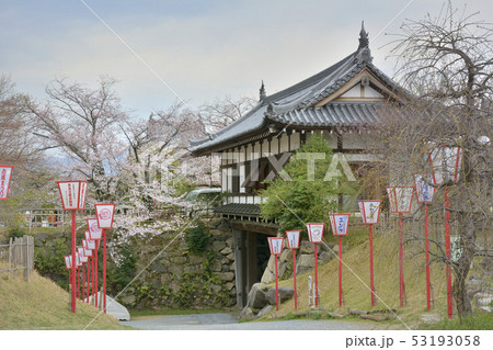 大和郡山城　梅林門　桜 53193058