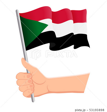 Hand holding and waving the national flag of Sudan. Fans, independence day, patriotic concept 53193898