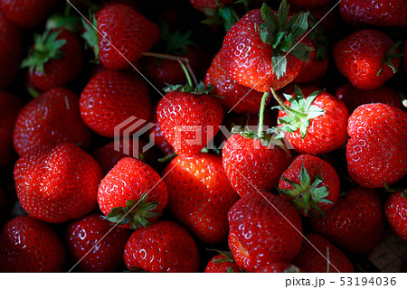 Fresh ripe strawberries Fresh ripe strawberries 53194036