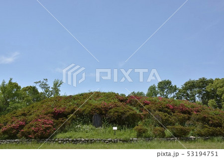 【大阪府　堺市】世界遺産・百舌鳥古墳群の七観音古墳 53194751