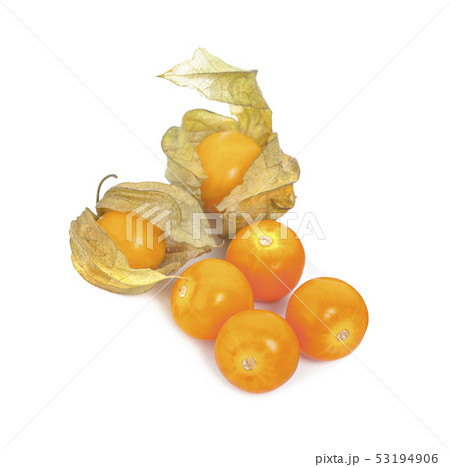 Cape gooseberry (physalis) isolated on white 53194906