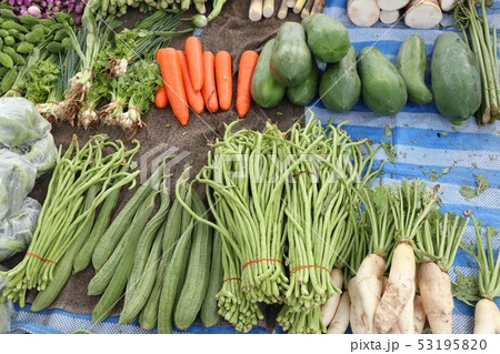 Shops selling vegetables at the market Shops selling vegetables at the market 53195820