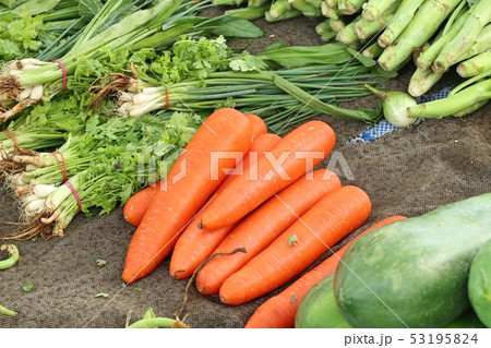 Shops selling vegetables at the market Shops selling vegetables at the market 53195824