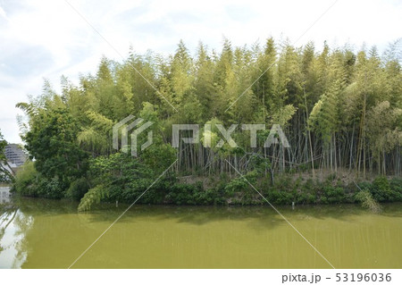 【大阪府　堺市】世界遺産・百舌鳥古墳群のいたすけ古墳 53196036