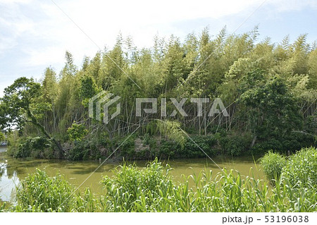 【大阪府　堺市】世界遺産・百舌鳥古墳群のいたすけ古墳 53196038