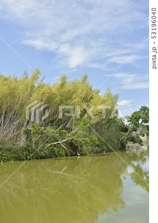 【大阪府　堺市】世界遺産・百舌鳥古墳群のいたすけ古墳 53196040