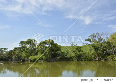 【大阪府　堺市】世界遺産・百舌鳥古墳群のいたすけ古墳 53196047