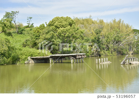 【大阪府　堺市】世界遺産・百舌鳥古墳群のいたすけ古墳 53196057