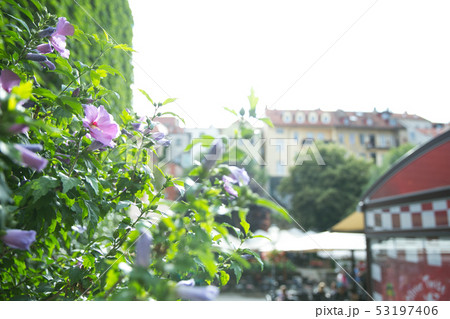 クロアチア　ザグレブの街並み 53197406