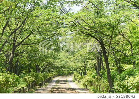 弘法山公園　ハイキング 53198042