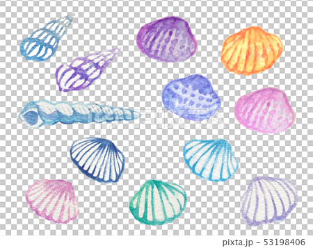 Shellfish watercolor illustration set (colorful) Shellfish watercolor illustration set (colorful) 53198406