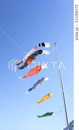 こいのぼり 53198472
