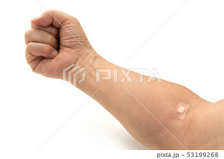 止血用絆創膏 53199268