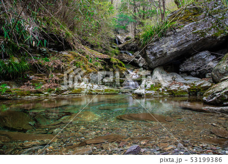稲叢山　渓流 53199386