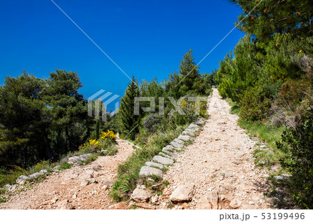 Mount Srd walking trail at spring 53199496