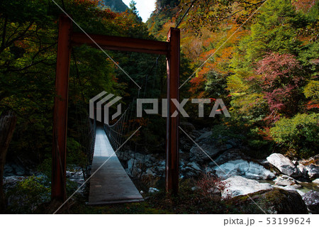 瀬戸川渓谷 橋 瀬戸川渓谷 橋 53199624