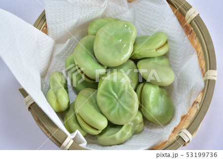 そら豆・塩ゆで 53199736