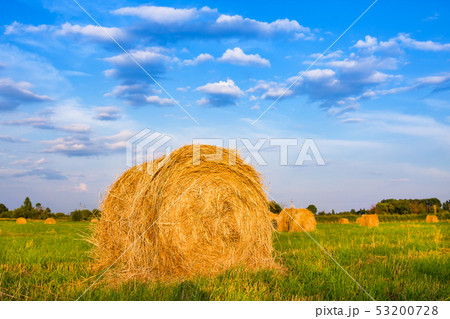 Hay bale. Agriculture field with sky. Rural nature Hay bale. Agriculture field with sky. Rural nature 53200728