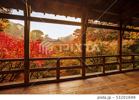 紅葉の東福寺の風景 京都の紅葉の名所 京都の人気スポット 東福寺と通天橋 紅葉の東福寺の風景 京都の紅葉の名所 京都の人気スポット 東福寺と通天橋 53201699