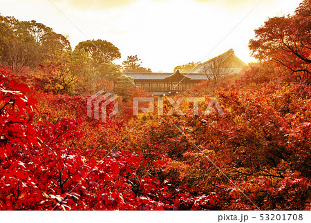 秋の東福寺 京都紅葉の名所 京都紅葉人気スポット 秋の東福寺 京都紅葉の名所 京都紅葉人気スポット 53201708