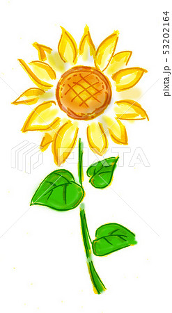 ひまわり 向日葵 ヒマワリ イラスト 手描き 手描き風 夏 植物 花の