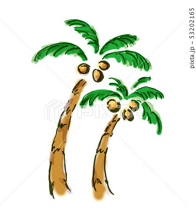 ヤシの木 ヤシ 椰子 椰子の木 夏 南国 手描きのイラスト素材 53202165