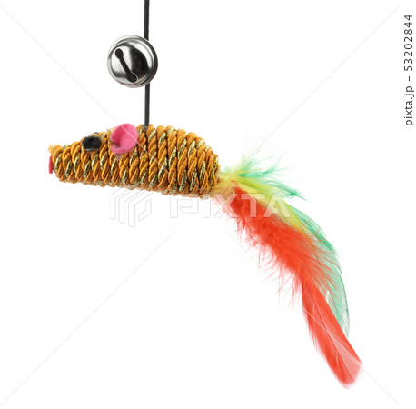 Funny cat toy feather mouse 53202844