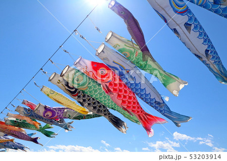 5月の空を泳ぐ鯉のぼり 53203914