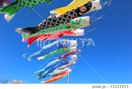 5月の空を泳ぐ鯉のぼり 53203915
