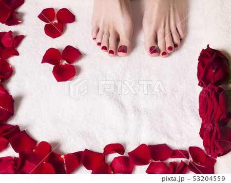 beautiful female feet with a beautiful pedicure on a terry towel with rose petals. Spa and skin care 53204559
