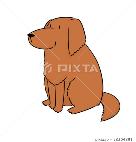 vector of dog, golden retriever 53204891