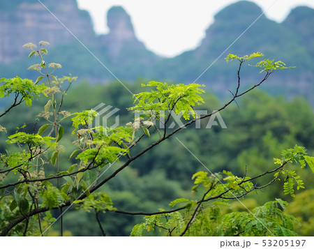 中国 広東省 丹霞山 / Danxiashan, Guangdong, China 53205197