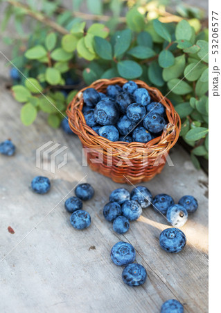 Fresh raw blueberries with leaves on wooden Fresh raw blueberries with leaves on wooden 53206577