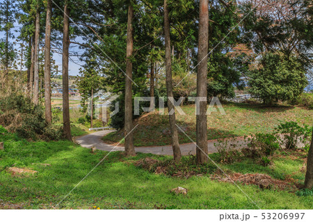 春の箕輪城の風景 53206997