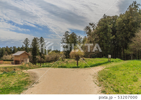 春の箕輪城の風景 53207000