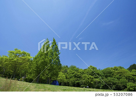 牛頸ダムの大野城いこいの森（福岡県大野城市） 53207086