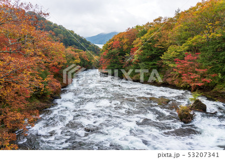 栃木県日光市 竜頭ノ滝 上部 (10月) 栃木県日光市 竜頭ノ滝 上部 (10月) 53207341