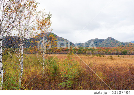 栃木県日光市 戦場ヶ原 (10月) 栃木県日光市 戦場ヶ原 (10月) 53207404