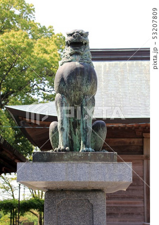 宮地嶽神社（福津市） 53207809