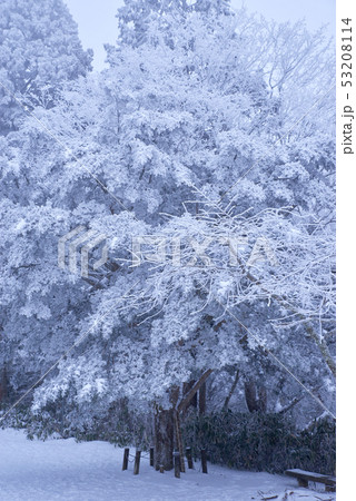 雪山の風景2 53208114