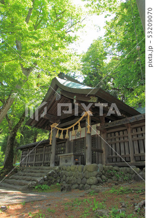 諏訪大社前宮　拝所 53209070