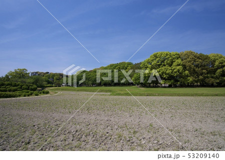 大宰府政庁跡(福岡県太宰府市) 大宰府政庁跡(福岡県太宰府市) 53209140