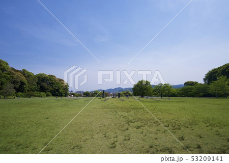 大宰府政庁跡（福岡県太宰府市） 53209141