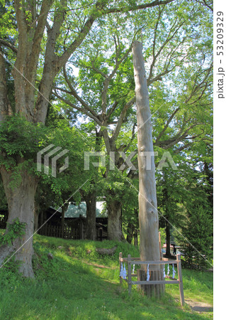 諏訪大社前宮　二之御柱 53209329