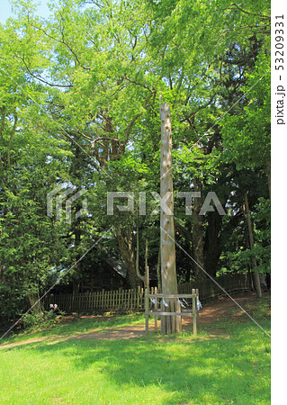 諏訪大社前宮　四之御柱 53209331